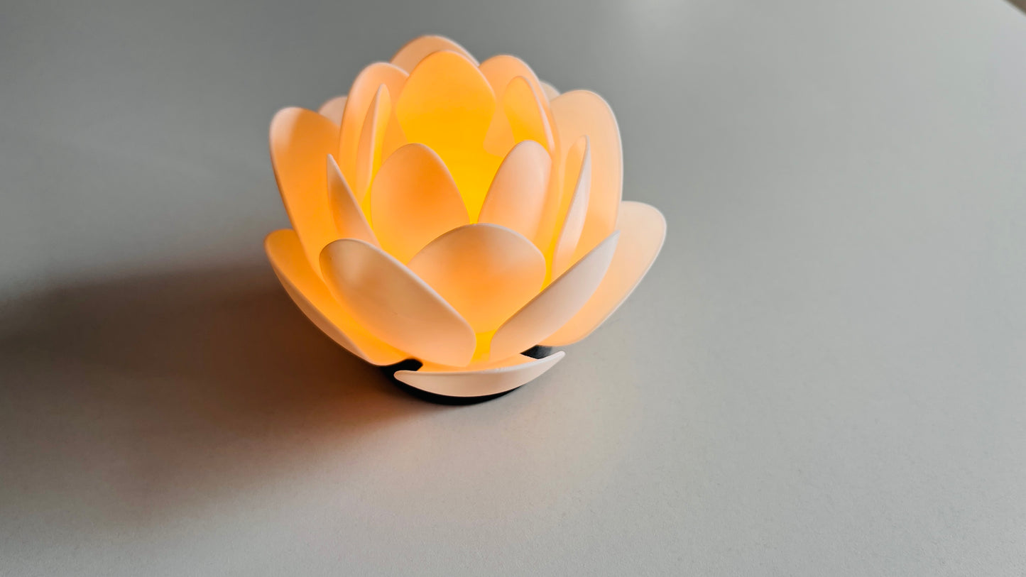 Lotus Aura Lamp